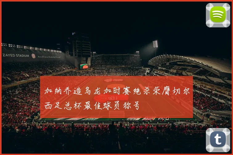 加纳乔造乌龙加时赛绝杀荣膺切尔西足总杯最佳球员称号