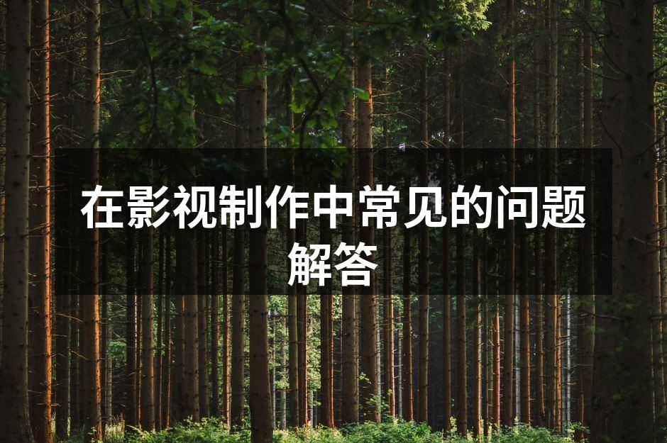 影视制作的关键环节概述